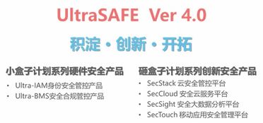 泰岳安全發布企業信息安全管控新品Ultrasafe 4.0，引領信息技術咨詢服務新紀元